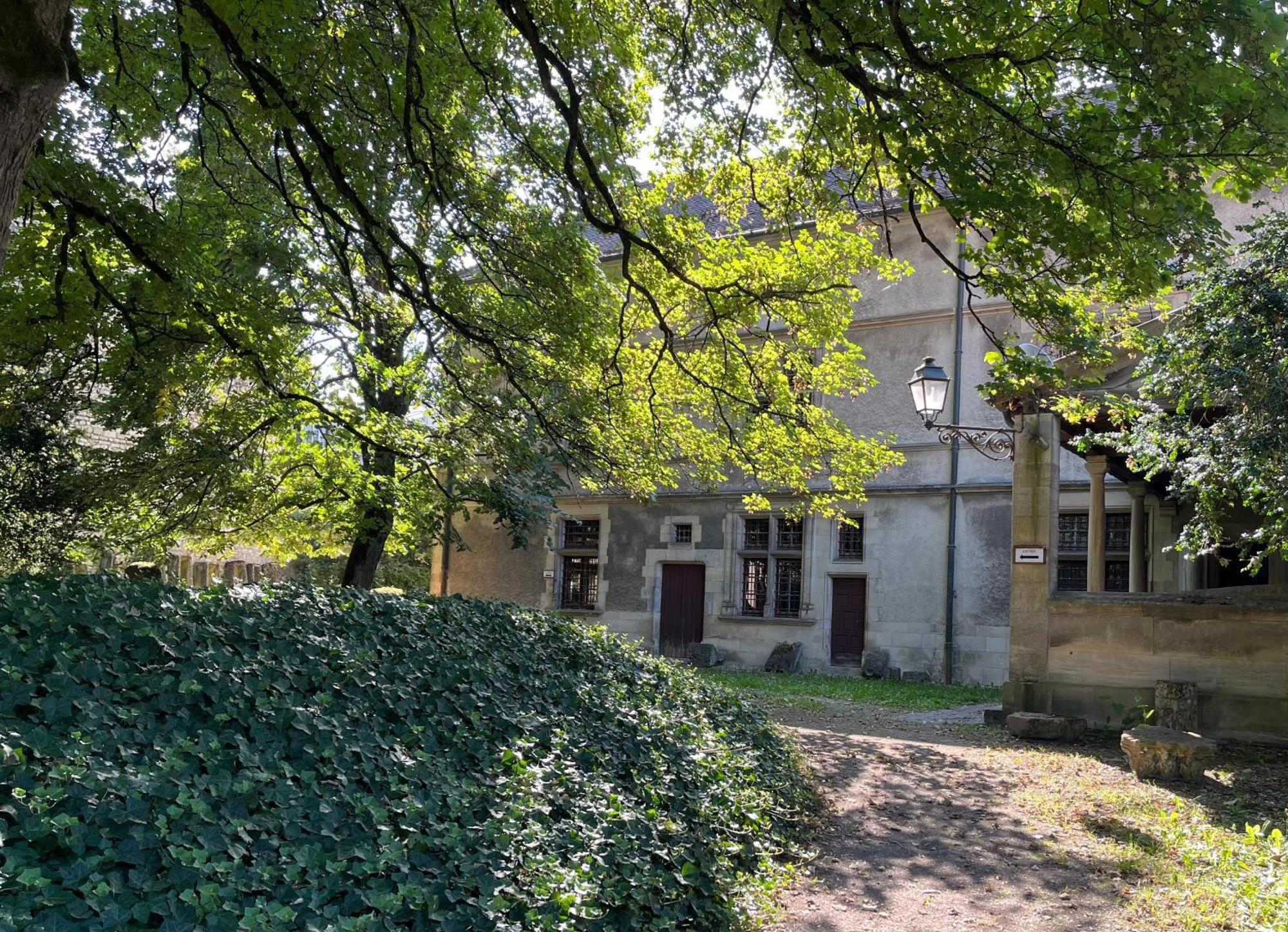 La Cour du Prince: Cozy Ground Floor with Terrace Near Station Verdun-sur-Meuse Exterior photo